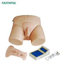 Simulador de cateterismo uretral de la serie XC-408