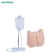 Serie XC-405 Simulador de cateterismo uretral masculino/femenino simple