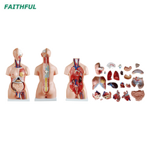 XC-204Series 85cm unisex/tri-sexo 23 partes