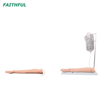 Modelo de brazo de entrenamiento inyectable de la serie XC-434 