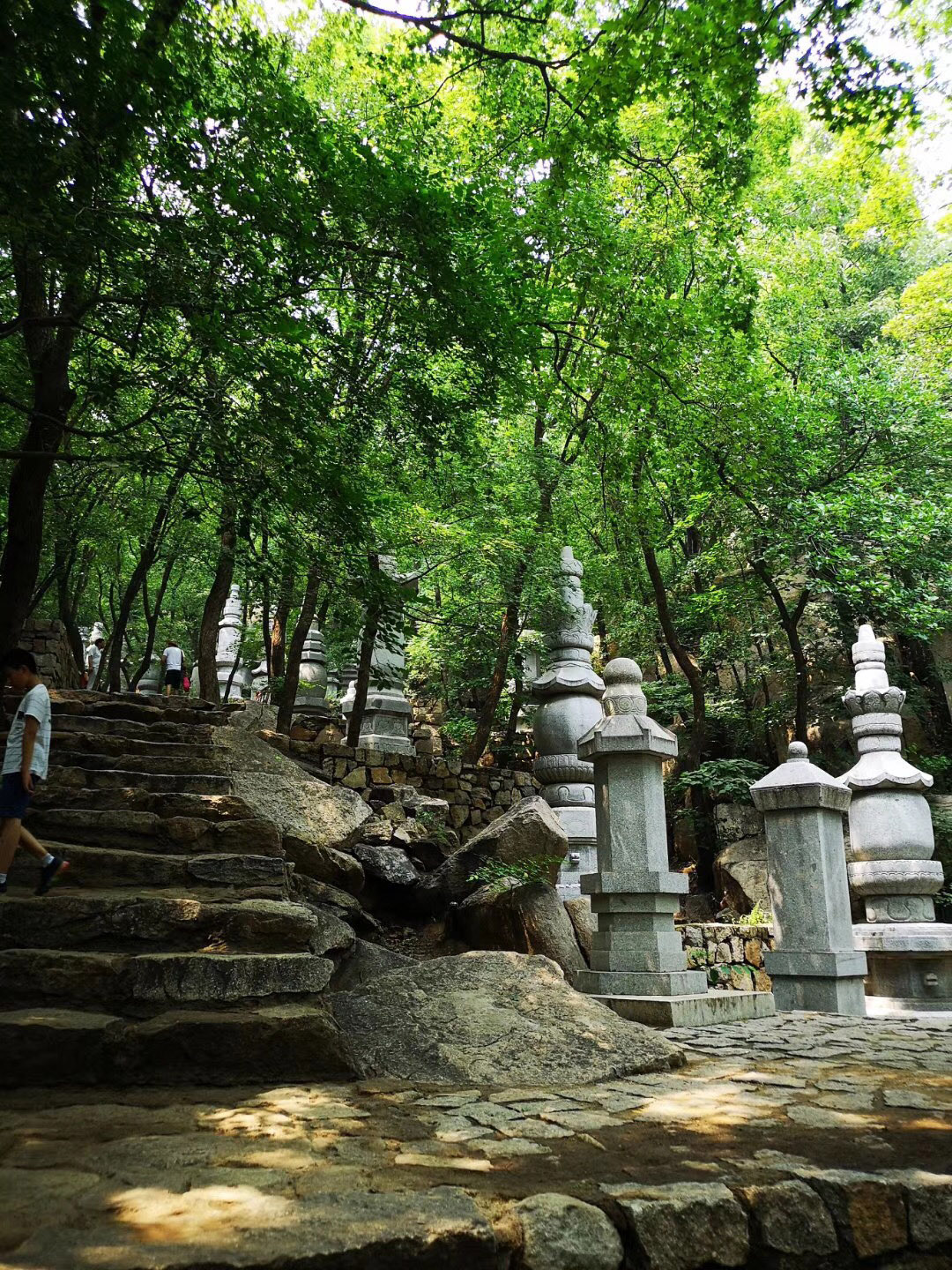 微 信 图片 _20180806133736