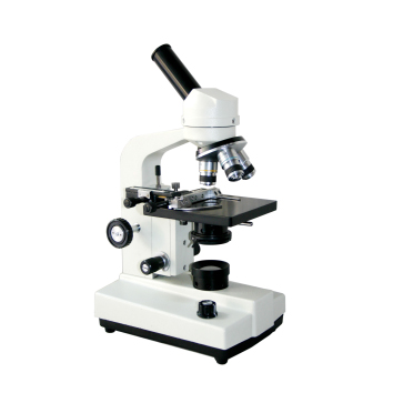 Microscopio-FSF-34-1250X