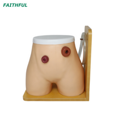 Modelo de enfermería de ostomía XC-456