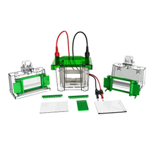 Sistema de electroforesis y transblot de proteínas FL-Mini01
