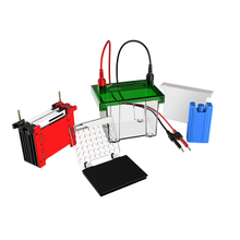Sistema de electroforesis y transtransferencia de proteínas FL-ZY02