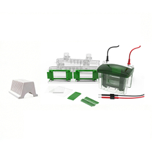 Sistema de electroforesis y transblot de proteínas FL-Mini04