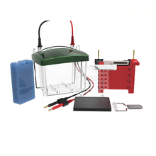 Sistema de electroforesis y transblot de proteínas FL-ZY03