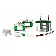 Sistema de electroforesis y transblot de proteínas FL-Mini02