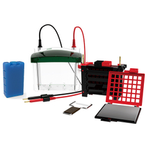 Sistema de electroforesis y transblot de proteínas FL-ZY04